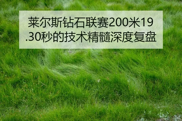 莱尔斯钻石联赛200米19.30秒的技术精髓深度复盘