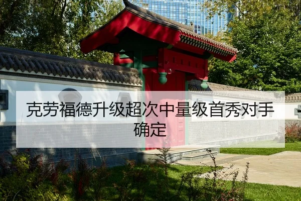 ke-lao-fu-de-sheng-ji-chao-ci-zhong-liang-ji-shou-xiu-dui-shou-que-ding-2-471.jpg