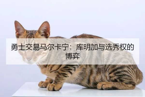 勇士交易马尔卡宁：库明加与选秀权的博弈