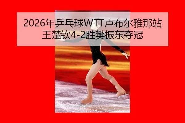 nian-ping-pang-qiu-lu-bu-er-ya-na-zhan-wang-chu-qin-sheng-fan-zhen-dong-duo-guan-3-492.jpg