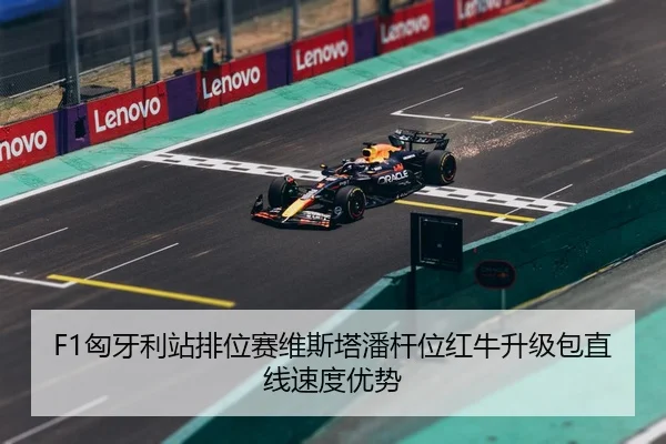 xiong-ya-li-zhan-pai-wei-sai-wei-si-ta-pan-gan-wei-hong-niu-sheng-ji-bao-zhi-xian-su-du-you-shi-3-238.jpg