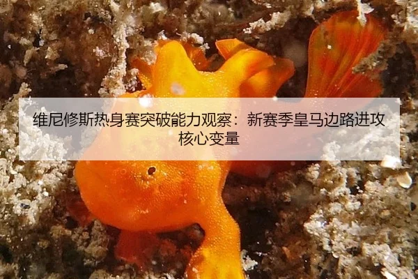 wei-ni-xiu-si-re-shen-sai-tu-po-neng-li-guan-cha-xin-sai-ji-huang-ma-bian-lu-jin-gong-he-xin-bian-liang-2-238.jpg